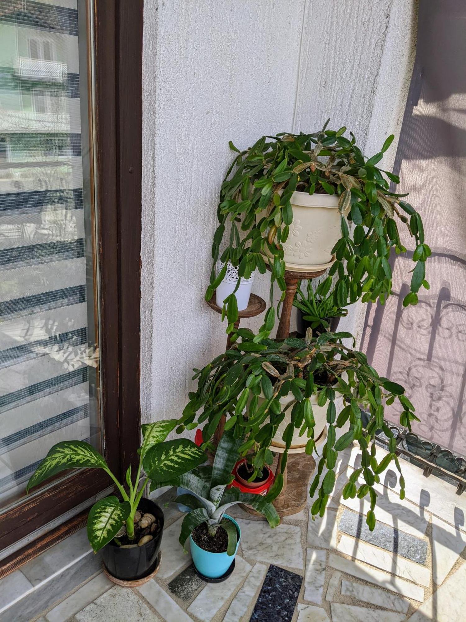 Apartmani Hrastik Bihać Cameră foto